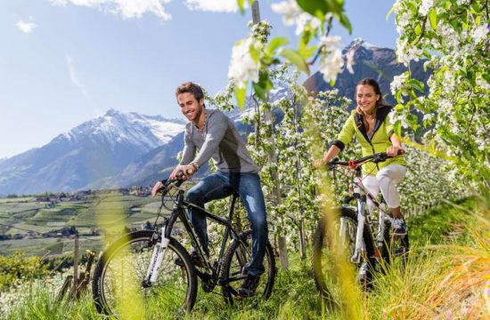 urlaub-im-meraner-land-mountainbike (4)