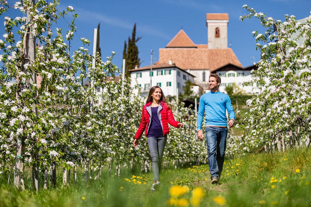 Sul versante soleggiato della regione di Merano